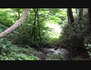 小佐波御前山風景集