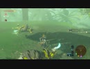 ひろくんのゼルダの伝説BotW - vsシビレリザルフォス×3