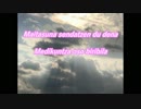 EVHAcocoro91Euskal