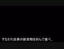 フリードリヒ・ニーチェ(Friedrich Nietzsche:一八四四－一九〇〇年)6