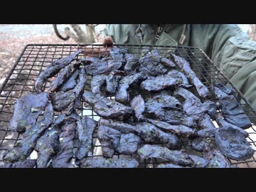 平成最後の狩猟生活（その８６）