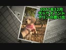 【思い出】プリンのアルバム集（2017年12月）