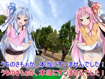 【琴葉姉妹車載】VERSYS1000se　GW長野愛知ツーリング Part3