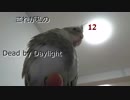 これが私のDead by Daylight　12【ゆっくり実況】