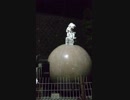 旅先にて・・・
