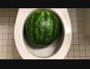 トイレでスイカ割りをしてみた