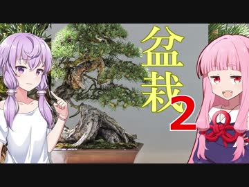 琴葉茜の闇ゲー#75「闇の盆栽　再来」