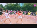 [K-POP] MOMOLAND + OH MY GIRL + fromis_9 + WJSN（BTS - Boy With Luv -）