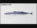 ラジオ はんぱーず オムツ会議 2019/04 修正版