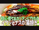 初心者でもカンタンに作れる イワシとナスの蒲焼き