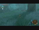 ひろくんのゼルダの伝説BotW - はじめての しれん