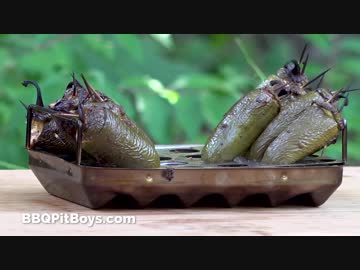 ベーコンハラペーニョポッパー