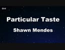 Particular Taste - Shawn Mendes Karaoke 【With Guide Melody】