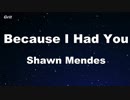 Because I Had You - Shawn Mendes Karaoke 【With Guide Melody】
