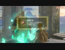 【BotW RTA】 台地100% 解説