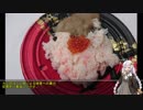 あかりと行くニンジャ250の旅　Part.5