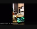zigsow_4kTV_Alexaで音声制御