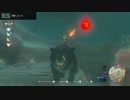 【実況】ゼルダの伝説BotW 十数年ぶりにゼルダをプレイPart95