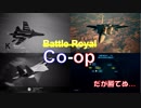 Ace Combat 7 Multiplayer216  バトルロイヤル  Su-34 + HCAA