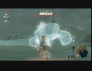 ひろくんのゼルダの伝説BotW - ガチロックと初戦闘など