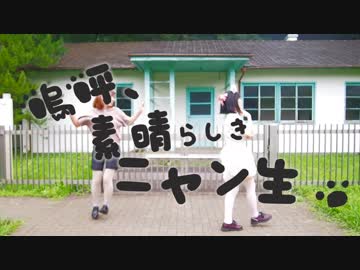 【neko3】嗚呼、素晴らしきニャン生　踊ってみた【オリジナル振付】
