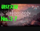 【初見実況】Horizon Zero Dawn【37】