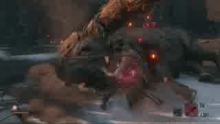 SEKIRO:SHADOWS DIE TWICE(隻狼)初見実況part12