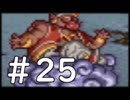 【実況】-ナニコレ！懐かしさしかない！-　ドラクエ6実況プレイ　part25