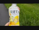 田舎を歩くついでに撮影