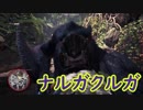 【MHW：IB】相棒ハンターとナルガクルガ（ゆっくり実況）