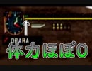 一発死状態で奇跡を引き起こす！【MHP2G】#11
