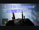 Ace Combat 7 Multiplayer220  バトルロイヤル  F-16C + SASM