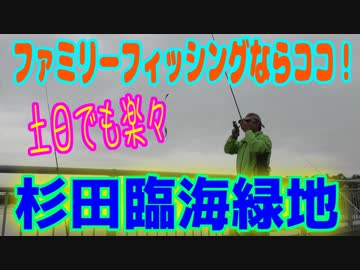 釣り動画ロマンを求めて 273釣目（杉田臨海緑地）