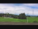 NEO CEDAR - 帰りたいの