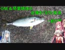 オネと一緒にたまには釣りでもいかが？【VOICeVIフィッシング】