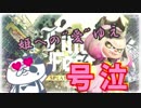 【号泣】ヒメちゃんへの愛で号泣した男【Final Festi】【スプラトゥーン2】