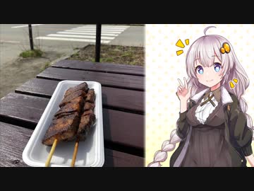 気晴らしのぽけっと旅【紲星あかり車載】長野ツーリング編prat5ビーナスライン