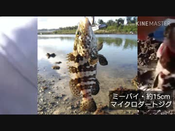 2019年7月21日の釣り日記