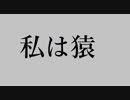 (エクバ２)私は猿(忍者・シュピーゲル視点)
