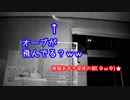 【サビ猫】真夜中に何が見えるの！？(・д・)【赤外線モード】