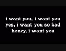 i want you - bob dylan