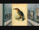 「soreha,単なる実験」/ flower ＋初音ミク