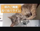 【モアクリ】 朝のご機嫌ぬりぬりタイム