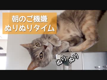 【モアクリ】 朝のご機嫌ぬりぬりタイム