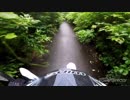 TTRで行く。泉ヶ岳林道