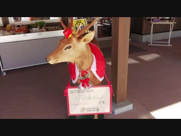 ぼっちライダーとあかりちゃんが今日もどっか行くようです【したみち(ryスタンプラリー②part2】