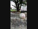 旅先にて・・・