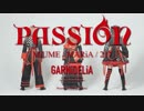 第482位：【みうめ・メイリア・217】PASSION【踊っちゃってみた第9弾】