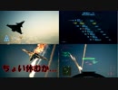 Ace Combat 7 Multiplayer223  バトルロイヤル  Su-37 + HPAA