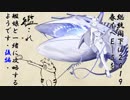 【艦これ】瑞鶴嫁提督は2019春イベE-5を艦娘と一緒に攻略するようです(後編)